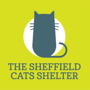 Unit 8, Hillsborough Barracks in Sheffield Let to Sheffield Cats ...